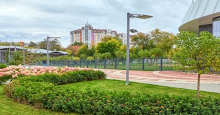 Профессиональное озеленение улиц в Новошахтинске в октябре