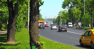 Посадка деревьев и кустарников в Новошахтинске — стоимость от 1250 руб.